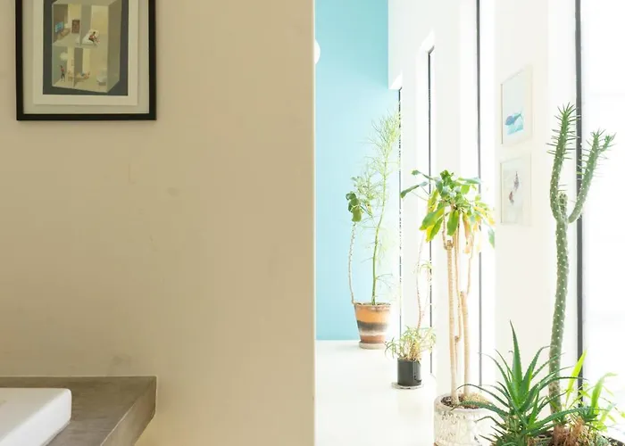 Designers Penthouse With Roof Garden - Ac * México DF