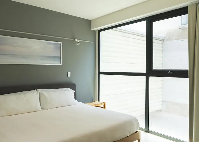 Designers Penthouse With Roof Garden - Ac * México DF